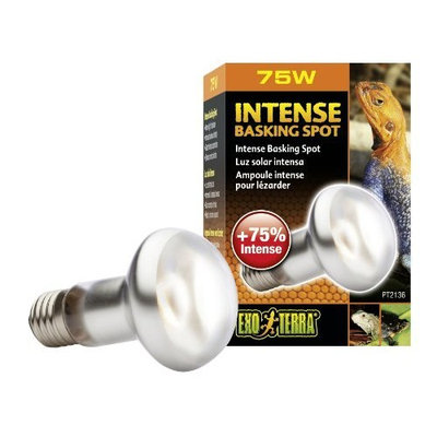 Hagen Exo Terra Sun-Glo Basking Infrared Spot Lamp