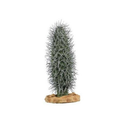 Zilla 11425 10-Inch Desert Series Cactus Terrarium Plant, Madagascar Palm