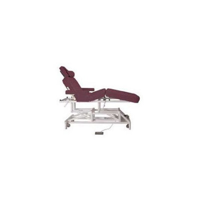Custom Craftworks McKenzie Deluxe Electric Massage Table