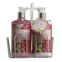Nature's Intent Raspberry Plumeria Hand Wash And Hand Lotion Set