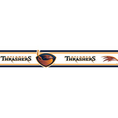 NHL Atlanta Thrashers Wallborder - 5.5