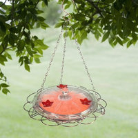 Woodstream Hummingbird W Birdscapes 224 Oasis 8-Ounce Glass Top Hummingbird Feeder (Discontinued by Manufacturer)