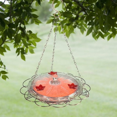 Woodstream Hummingbird W Birdscapes 224 Oasis 8-Ounce Glass Top Hummingbird Feeder (Discontinued by Manufacturer)