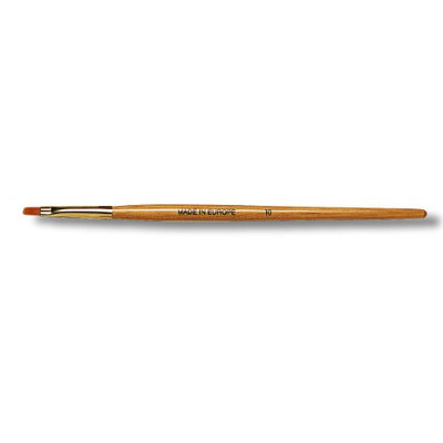 AINHOA Lips Brush