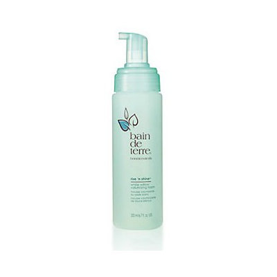 Bain De Terre Rise N Shine White Willow Volumizing Foam