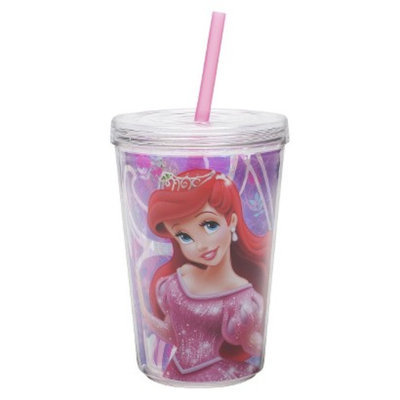 Zak Designs Disney Princess Double Walled Insulated Tumbler Set of 2