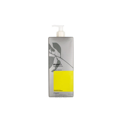 Framesi Hair Treatment Oily Hair Shampoo Liter