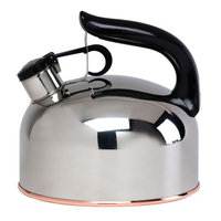 Essential Home Stainless Steel Tea Kettle - KMART CORPORATION