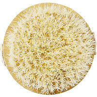 Eco Tools Dry Body Brush