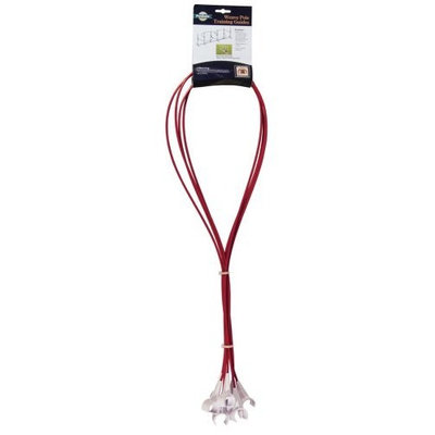 PetSafe Weave Pole Guides