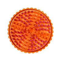 CLARISONIC Pedi Wet/Dry Buffing Brush Head, 1 ea