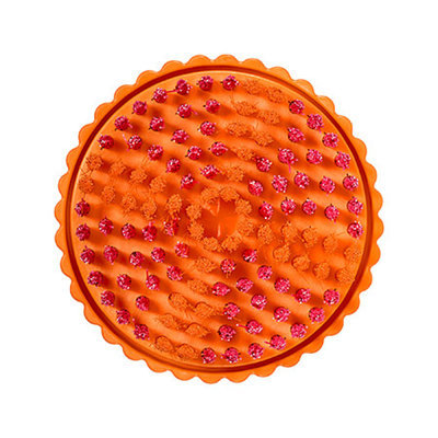 CLARISONIC Pedi Wet/Dry Buffing Brush Head, 1 ea