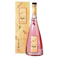 Get Fresh Memories of Kyoto Black Currant Plum - Bubble Bath (25 fl. oz.)