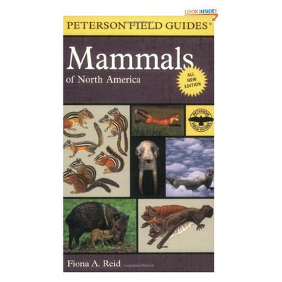 Peterson Field Guide to Mammals of North America: Fourth Edition (Peterson Field Guides)
