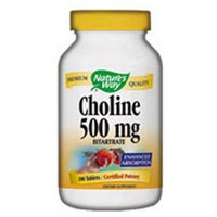 tures Way Choline Bitartrate 500mg 100 caps from Nature's Way
