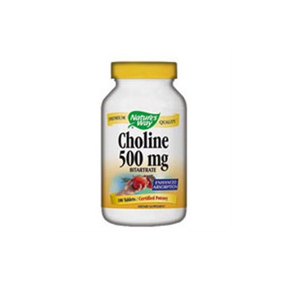 tures Way Choline Bitartrate 500mg 100 caps from Nature's Way