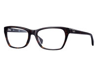 Ray Ban RB5298