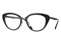 Ray Ban RB7088