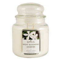 Hallmark Night Blooming Jasmine 15-oz. Jar Candle, White