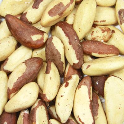 Setton Farms Raw Brazil Nuts-8 oz Container