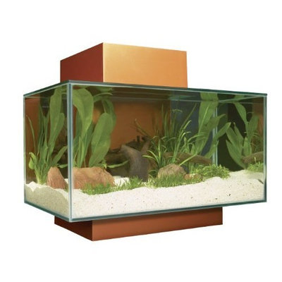 Hagen Fluval Edge Aquarium Set, Burnt Orange, 6-Gallon