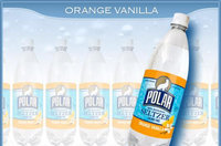 Polar Seltzer