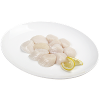 Scallops Sea - 10-15 ct