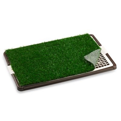 Paws Life Dog Potty for Small Dogs