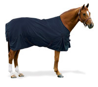 Equiessentials 600D Turnout Sheet 84