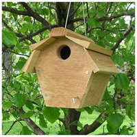 Songbird Essentials SE546 Carolina Wren All Purpose House