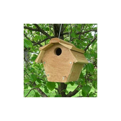 Songbird Essentials SE546 Carolina Wren All Purpose House