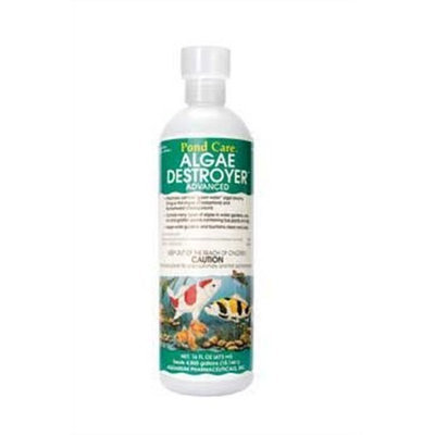 API Pondcare Algae Destroyer Advanced, 16-Ounce