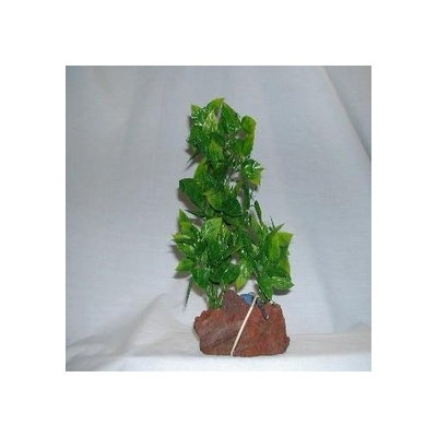 Rocky Mountain Plants ARCMB1 Aerating Double Plant on Lava Rock, 9 to 10-Inch, Green