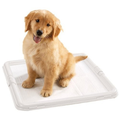 Clean Go Pet Plastic Puppy Pad Holder
