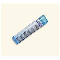 Boiron Kali Iodatum 6c 6C - 80 Pellets - Other Homeopathics