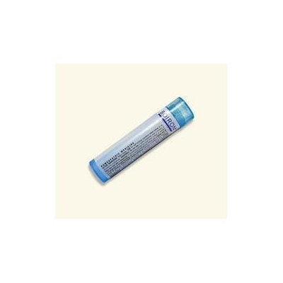 Boiron Kali Iodatum 6c 6C - 80 Pellets - Other Homeopathics