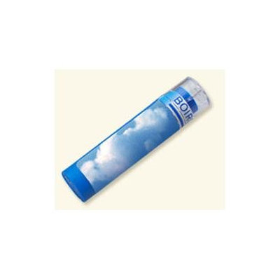 Boiron Cimicifuga Racemosa 6c 6C - 80 Pellets - Other Homeopathics