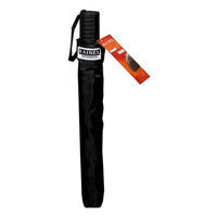 Raines by totes Automatic Umbrella