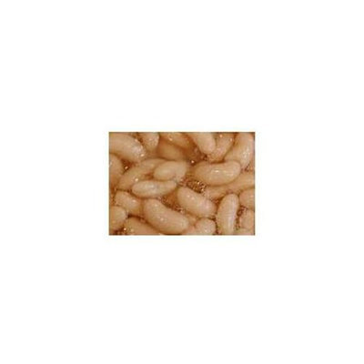 Coralife Beans Cannellini 14 Oz - -Pack of 24
