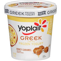 Yoplait® Low Fat Honey Caramel Frozen Greek Yogurt