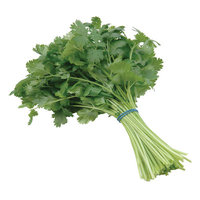 Boskovich Cilantro Bunch, 1ct