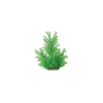 Pure Aquatic Natural Elements Ambulia Aquarium Ornament in Green Size: 5