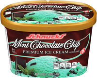 Schnucks® Mint Chocolate Chip Ice Cream 48 fl. oz. Carton