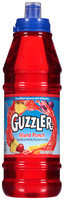 Guzzler® Island Punch Fruit Drink 20 fl. oz. Bottle