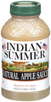 Indian Summer Natural Apple Sauce 48 Oz Plastic Jar