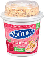 YoCrunch® Raspberries Lowfat Yogurt with Granola 6 oz. Cup