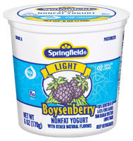 Springfield Light Nonfat Boysenberry Yogurt 6 Oz Cup