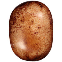 Jennie-O® Oven Roasted Chicken Breast
