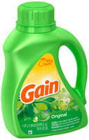 Gain with FreshLock Original Liquid Detergent 50 fl. oz.