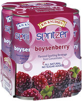 R.W. Knudsen Boysenberry Sparkling Beverage 10.5 Oz Spitzer 4 Ct Cans